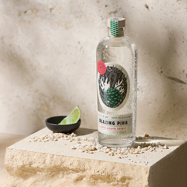 Wausau Aged Agave - Image 4