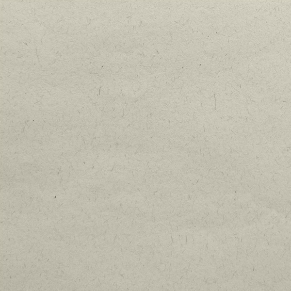 Wausau Aged Agave - Image 6