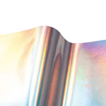 Vinyl EFX Brite Overall Silver